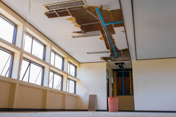 Best Flooded house restoration  in Mckinleyville, CA