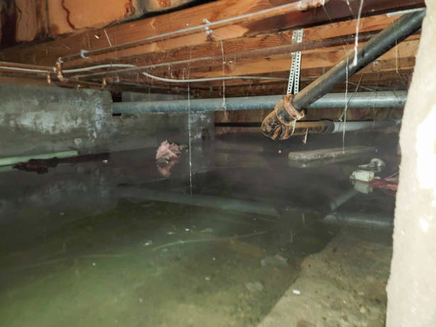 Best 24-hour water damage restoration  in Mckinleyville, CA