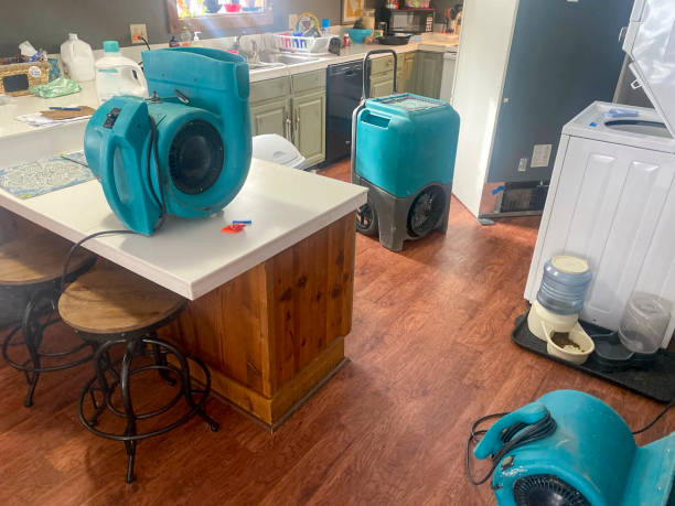 Best Fire Damage Restoration  in Mckinleyville, CA