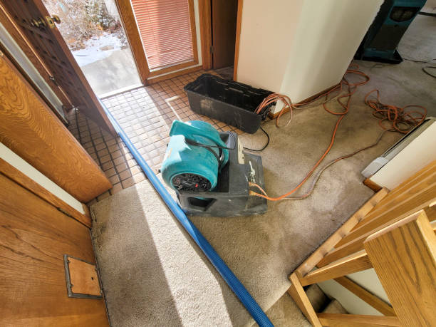Best Water damage cleanup near me  in Mckinleyville, CA