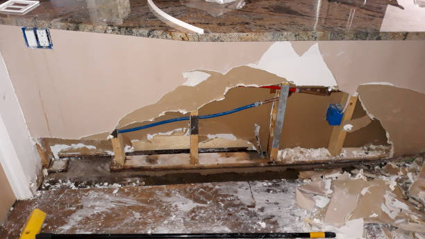 Best Ceiling water damage repair  in Mckinleyville, CA