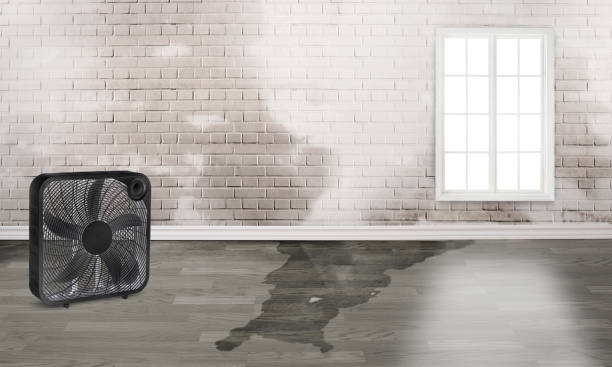 Best 24/7 water damage repair  in Mckinleyville, CA