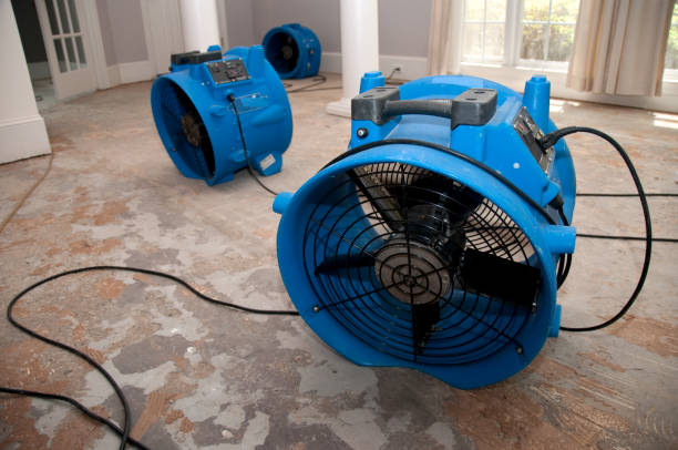 Best Professional water damage repair  in Mckinleyville, CA