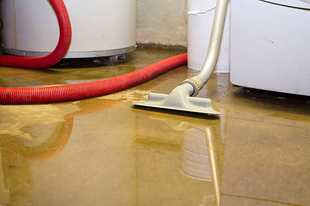 Best Basement water damage restoration  in Mckinleyville, CA