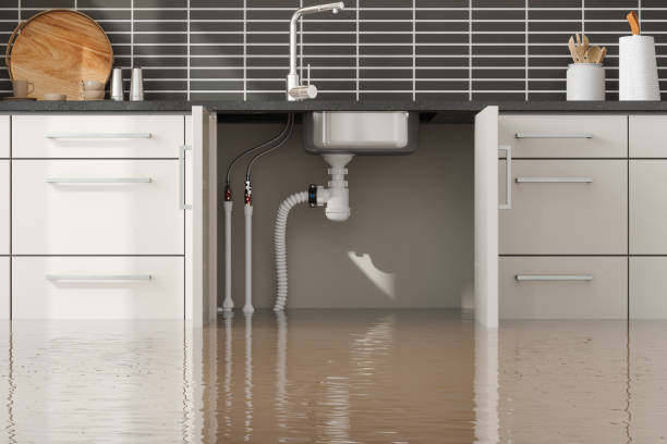 Best Residential water damage restoration  in Mckinleyville, CA